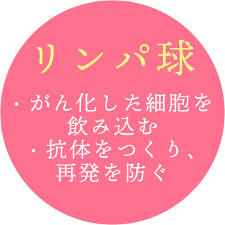 リンパ球　がんと化した細胞を飲み込む　抗体をつくり、再発を防ぐ