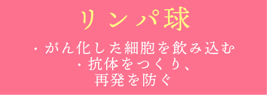 リンパ球　がんと化した細胞を飲み込む　抗体をつくり、再発を防ぐ